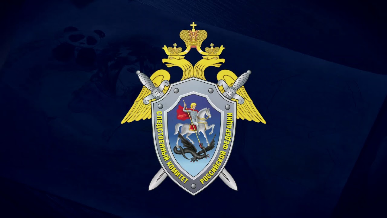 Следственное управление СК РФ по Ставропольскому краю информирует о трансляции митинга-концерта 9 мая «Одна страна – одна Победа».