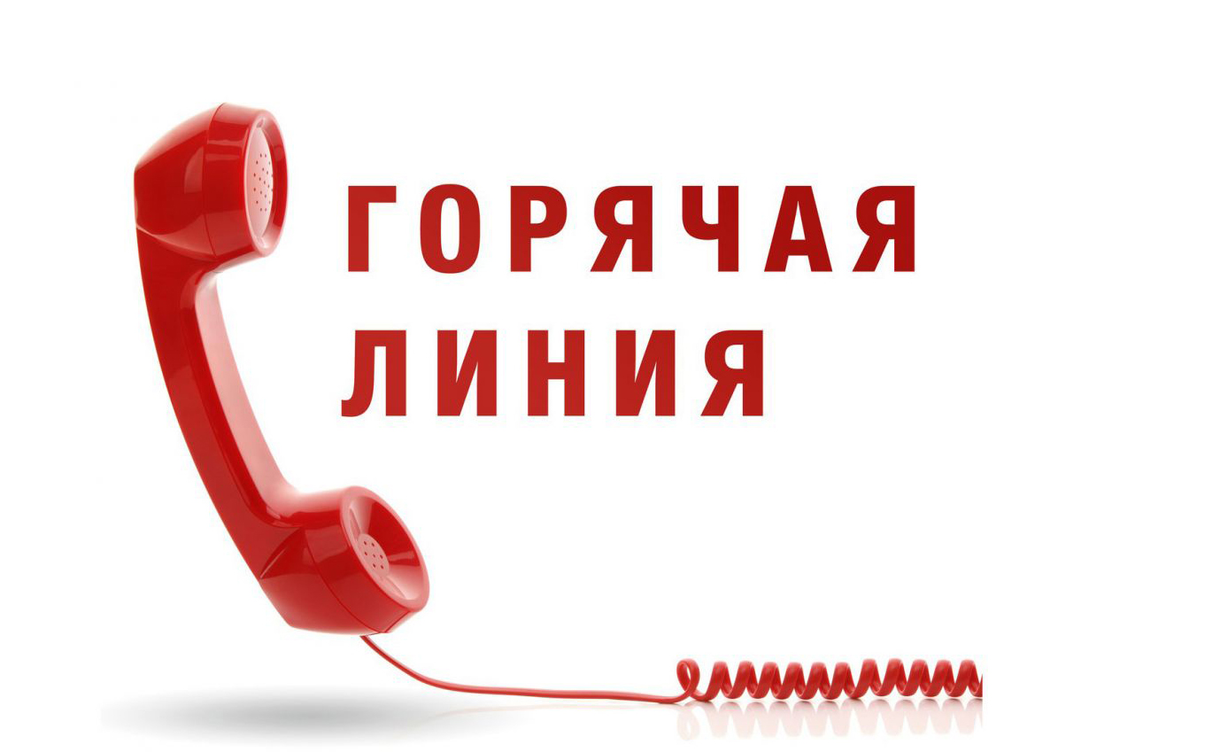 Тематическая  горячая линия.