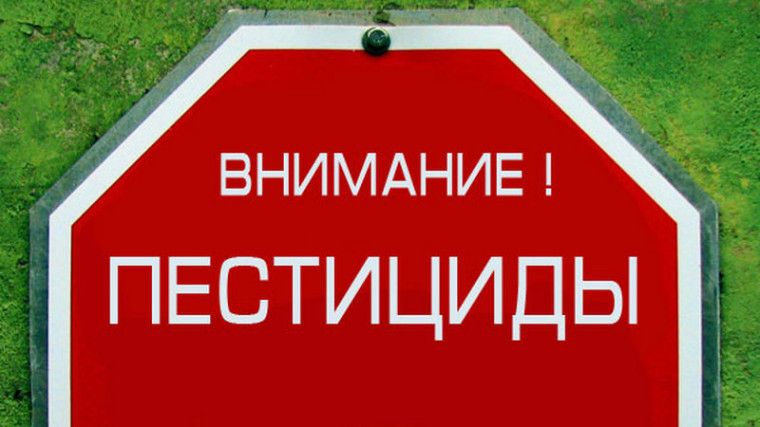 Безопасность при работе с пестицидами и агрохимикатами.